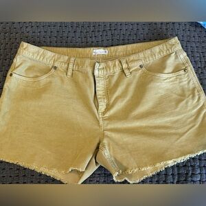 Carve Designs Oahu Short 4" Khaki color Size 16